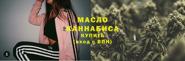 гашик Елабуга