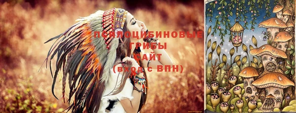 соль ск Заволжск