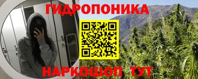 прущие крисы Ирбит