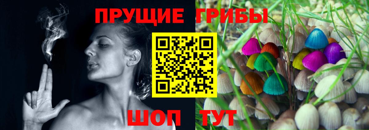 Галлюциногенные грибы Psilocybe Костомукша